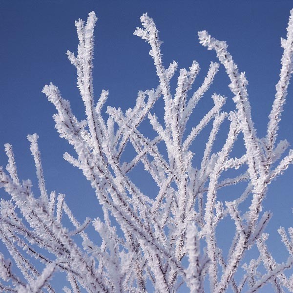 Dampfbad Winter