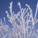 Saunaaufguss Winter